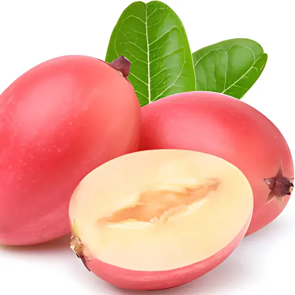 Carissa_Carandas_(Karonda_/_Karamcha)_Plant_|_Air_Layered_High_Yield_Variety_|_Sweet_Tangy_Fruits_|_Suitable_for_All_Climates_|_Healthy_Live_Plant_Guaranteed