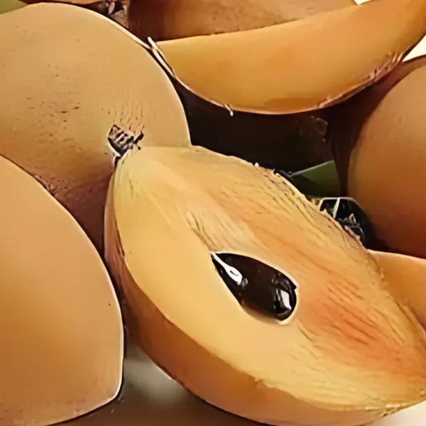 Thai_Chiku_Plant_|_Grafted_Sweet_Variety_|_High_Yield_|_Early_Fruiting_|_Healthy_Live_Plant_Guaranteed