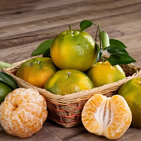 Nagpur_Orange_Plant_|_Grafted