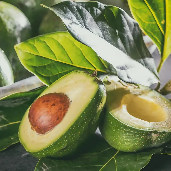 Hass_Avocado_Plant_|_Grafted_Exotic_Variety_|_Creamy_Nutrient-Rich_Fruits_|_High_Yield_|_Healthy_Live_Plant_Guaranteed.