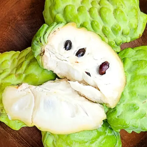 Golden_Custard_Apple_Plant_|_Grafted_Rare_Exotic_Variety_|_Sweet_Creamy_Fruits_|_High_Yield_|_Healthy_Live_Plant_Guaranteed.