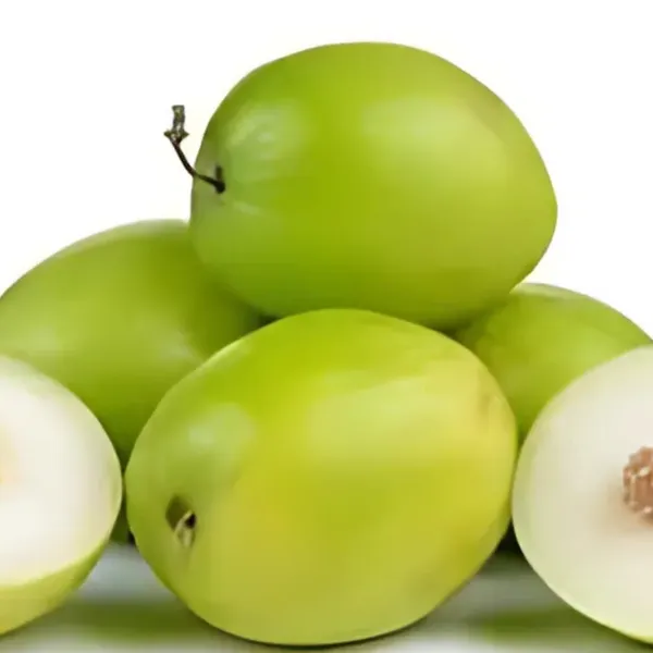 Kashmiri_Green_Apple_Ber_Plant_|_Grafted