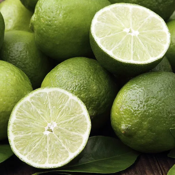 Seedless_Lemon_Plant_|_Air_Layered_High_Yield_Variety_|_Juicy_Aromatic_Fruits_|_Year-Round_Fruiting_|_Healthy_Live_Plant_Guaranteed