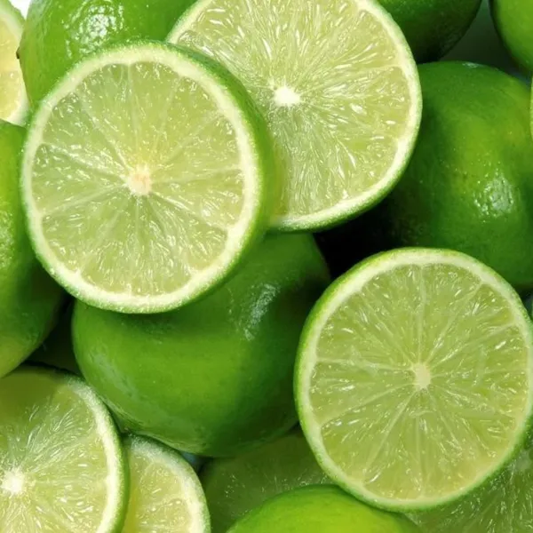 Seedless_Lemon_Plant_|_Air_Layered_High_Yield_Variety_|_Juicy_Aromatic_Fruits_|_Year-Round_Fruiting_|_Healthy_Live_Plant_Guaranteed