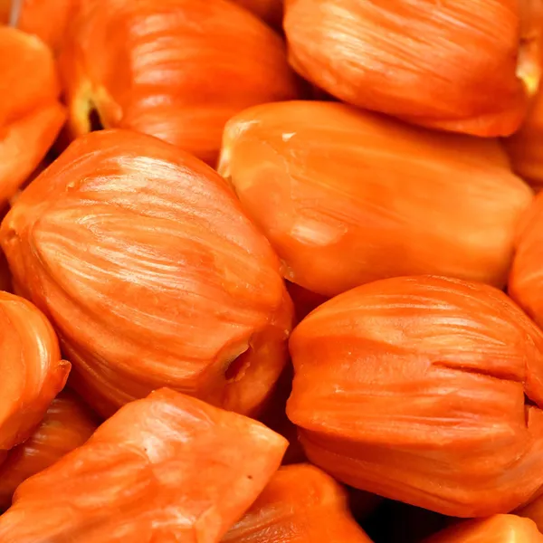 Thai_Pink_Jackfruit_Plant_|_Grafted_Exotic_High_Yield_Variety_|_Sweet_Fragrant_Fruits_|_Early_Fruiting_|_Healthy_Live_Plant_Guaranteed