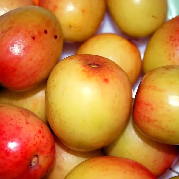 Boroi_Ber_(Indian_Jujube_/_Kul)_Plant_|_Grafted_High_Yield_Sweet_Variety_|_Early_Fruiting_|_Suitable_for_All_Climates_|_Healthy_Live_Plant_Guaranteed