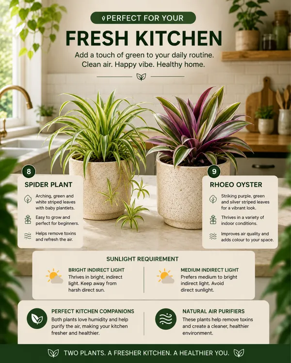 Premium_Indoor_Jungle_Collection