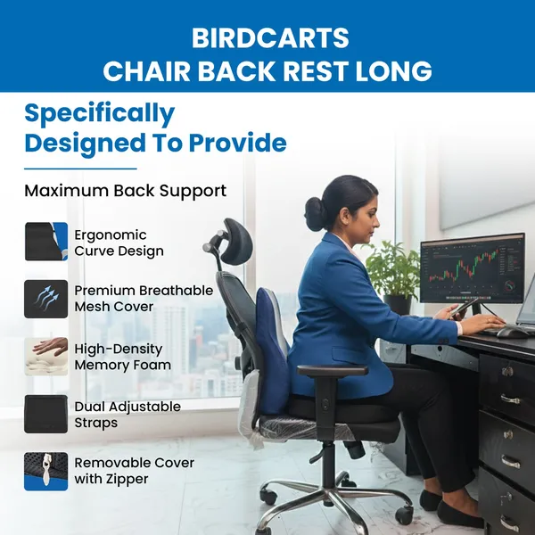 Blue_Chair_Rest_Back_Long_For_Pain_Care_(_1_Piece_)