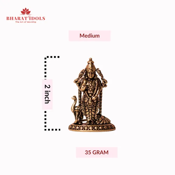 100%_Brass_Kartikey_Ji_Idol