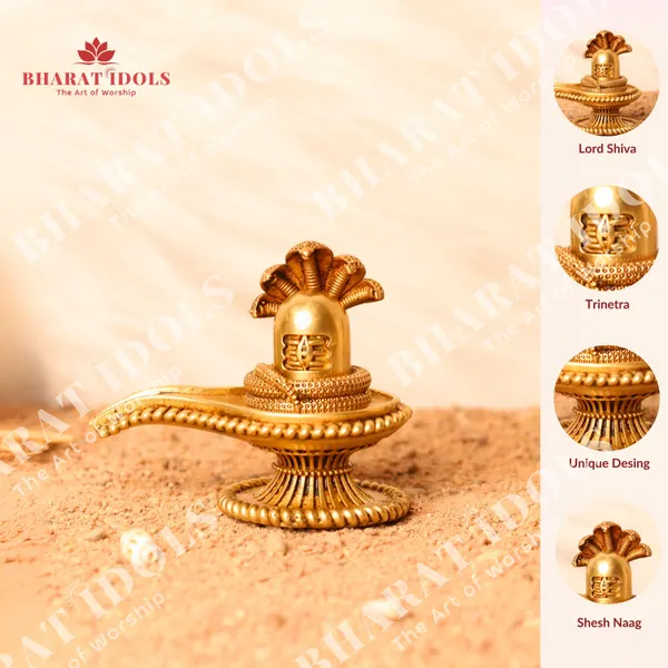 100%_Brass_Shiv_Lingam_with_Seshnaag_Idol