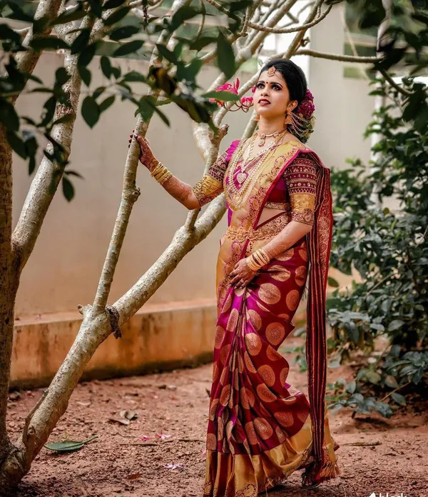 Wine_Banarasi_Silk_Saree_with_Gola_Design