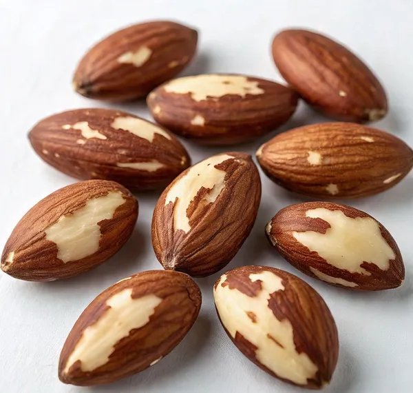 Premium_Brazil_Nuts_|_Rich_In_Selenium,_Protein_&_Healthy_Fats_|_Crunchy_&_Nutritious_Superfood_|_Ideal_For_Snacking,_Baking_&_Energy_Boost