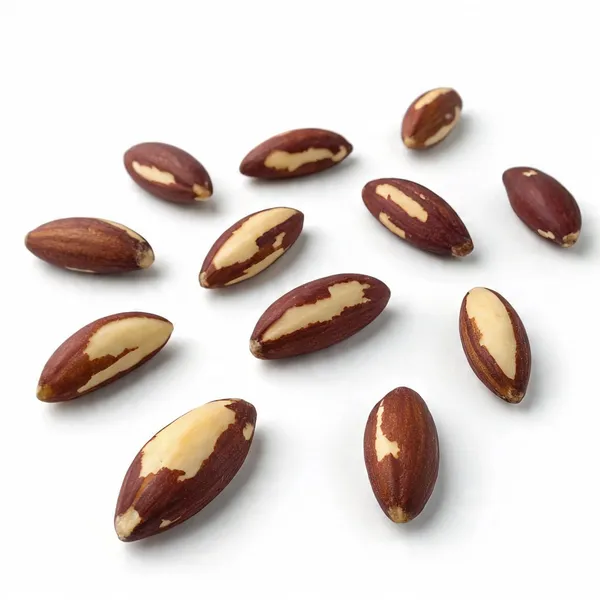 Premium_Brazil_Nuts_|_Rich_In_Selenium,_Protein_&_Healthy_Fats_|_Crunchy_&_Nutritious_Superfood_|_Ideal_For_Snacking,_Baking_&_Energy_Boost