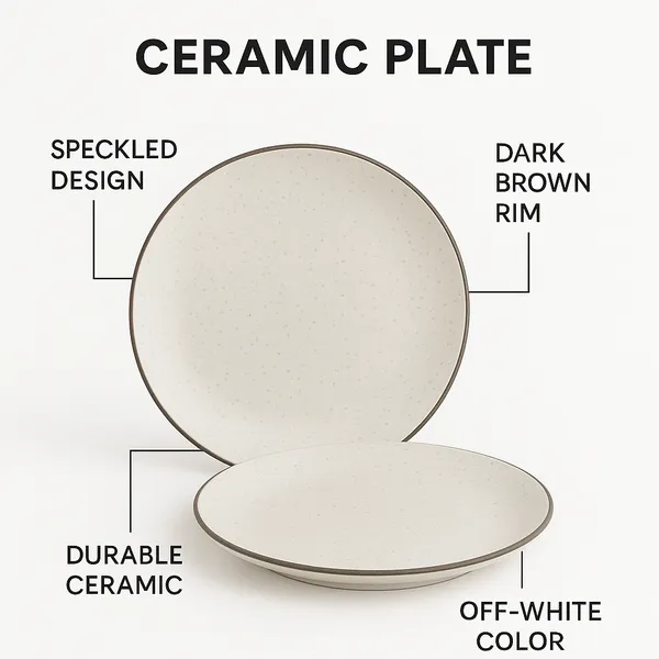 Off_White_Ceramic_Microwave_Safe_Dinner_Full_Plate_|_10_Inches