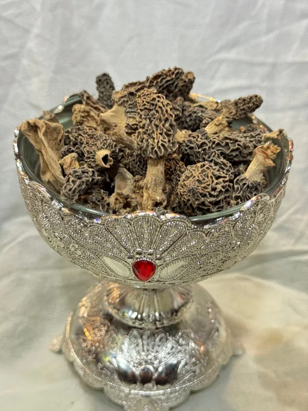 Kashmiri_Guchchi_(Morel_Mushrooms)_The_Himalayan_Treasure