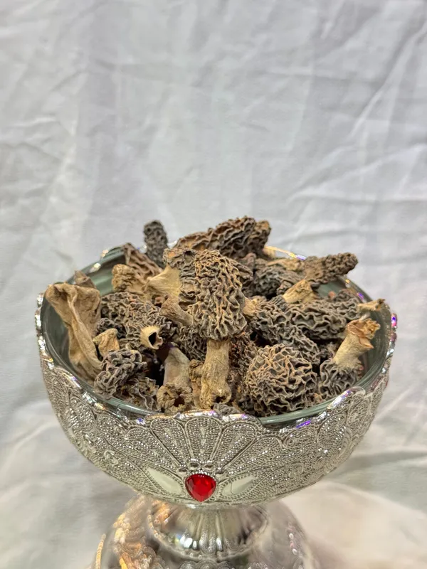 Kashmiri_Guchchi_(Morel_Mushrooms)_The_Himalayan_Treasure
