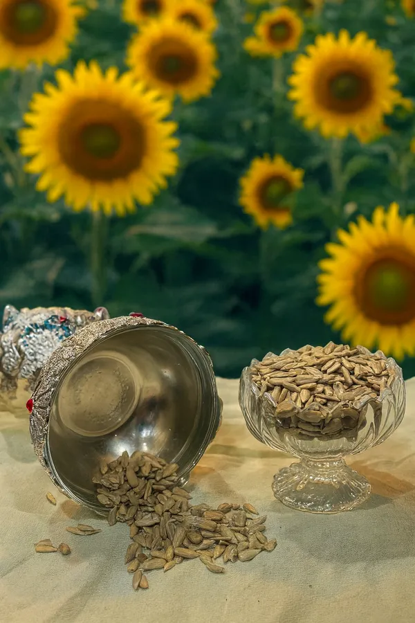 Gul_Kash_Sunflower_Seeds_Nature_Golden_Crunch
