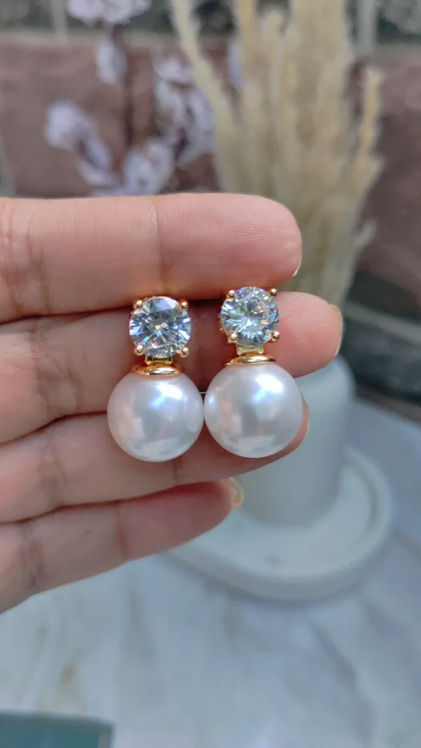 Rose_Gold_Stainless_Steel_Premium_&_Elegant_(_Ad_Diamonds_)_Earrings_For_Women