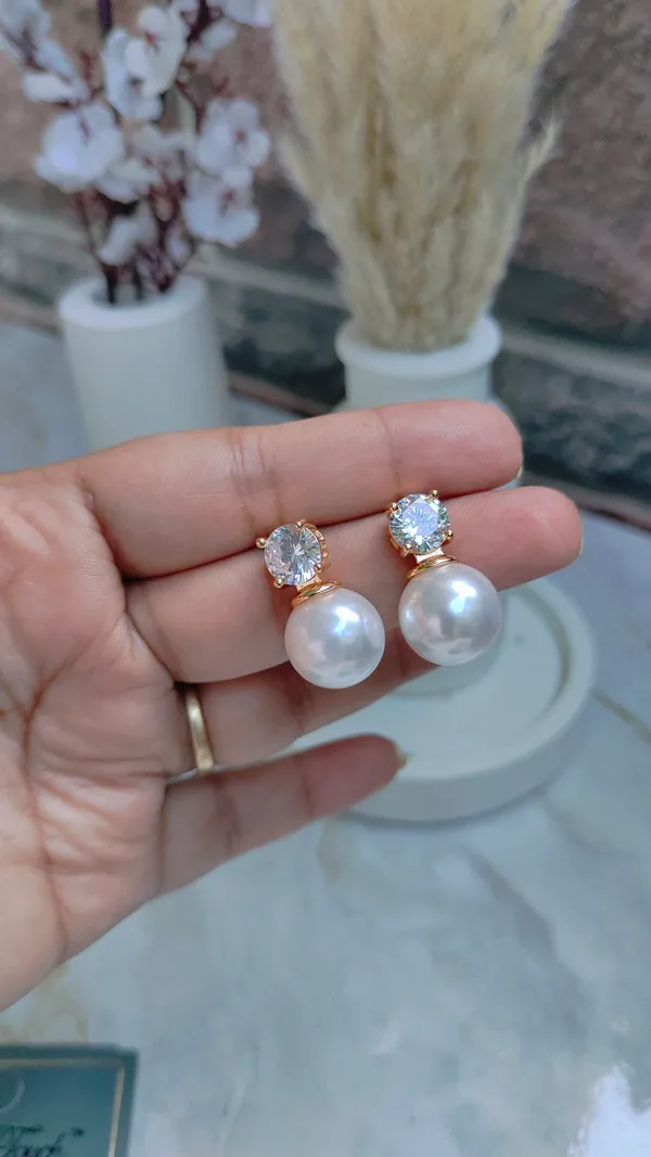 Rose_Gold_Stainless_Steel_Premium_&_Elegant_(_Ad_Diamonds_)_Earrings_For_Women