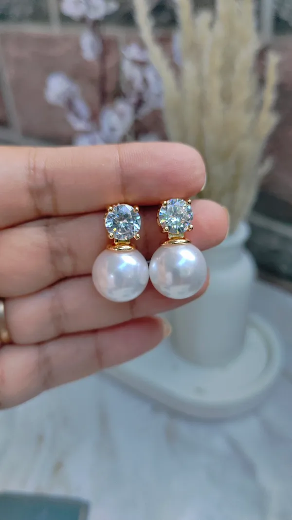 Rose_Gold_Stainless_Steel_Premium_&_Elegant_(_Ad_Diamonds_)_Earrings_For_Women
