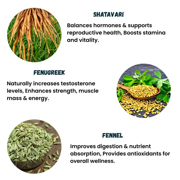 Nitesecrets_Testobooster_Performance_&_Vitality_Capsules_for_Men_|_With_Shatavari,_Ashwagandha,_Safed_Musli,_Fenugreek_&_Herbal_Extracts_|_Supports_Healthy_Testosterone_Levels_|_Boosts_Strength,_Stamina,_Energy_&_Endurance_|_100%_Herbal_&_Safe_|_60_Capsules