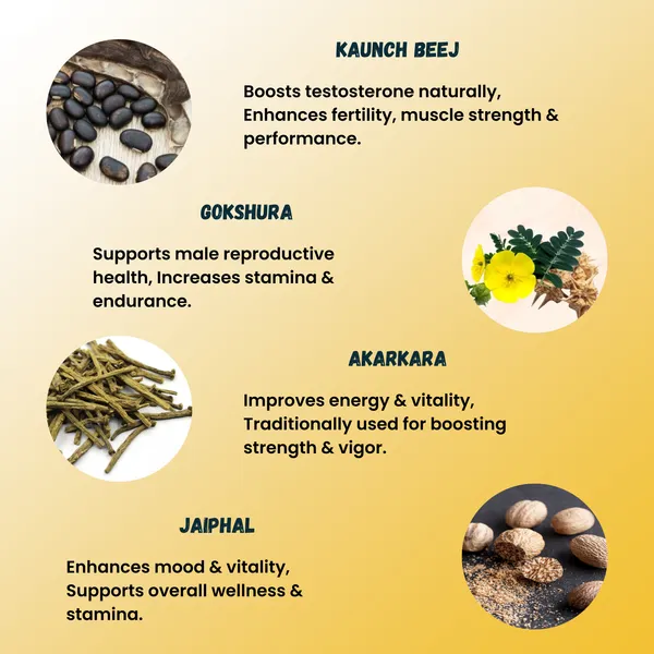 Nitesecrets_Performance_Capsules_|_With_Ashwagandha,_Shilajit,_Swarna_Bhasma,_Safed_Musli_&_Jaiphal_|_Boosts_Energy,_Strength_&_Stamina_|_Supports_Vitality,_Endurance_&_Overall_Wellness_|_100%_Herbal_&_Safe_|_60_Capsules