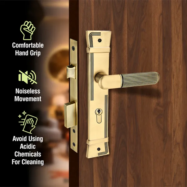 DM_Locks_|_12_inches_|_Premium_Zinc_Antique_Finish_Mortise_Lock_Set