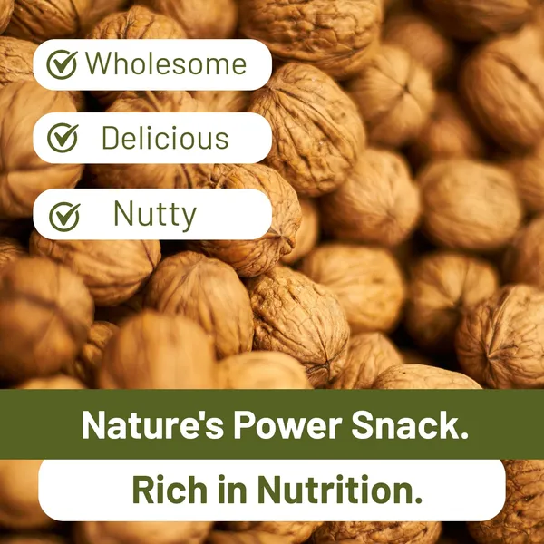 Mona_Premium_Walnut__Crunchy_Nuts_Rich_In_Dietary_Fibre_&_Protein_100%_Pure_Akhrot