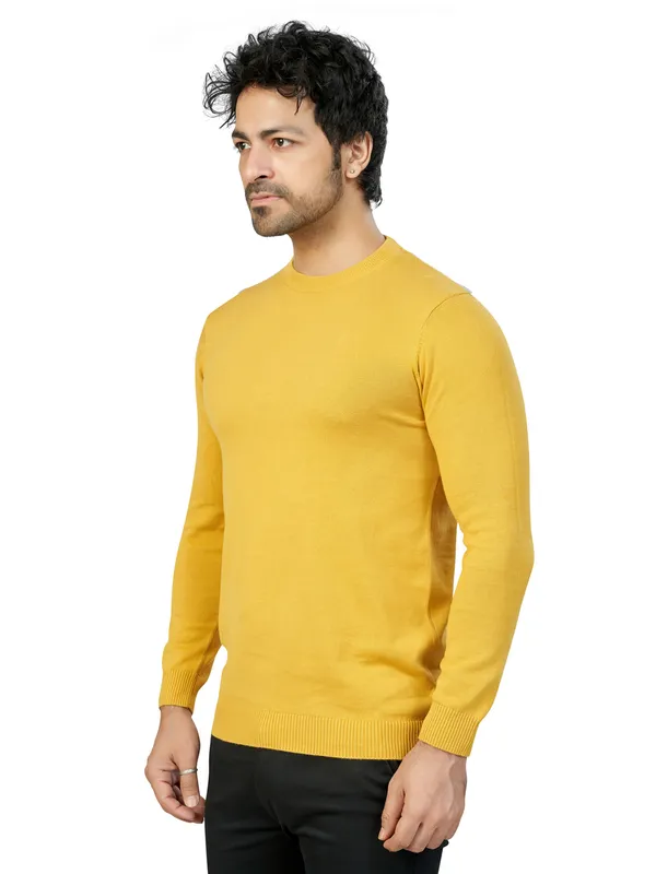 Yellow_Solid_Premium_Knit_T-Shirt_For_Men