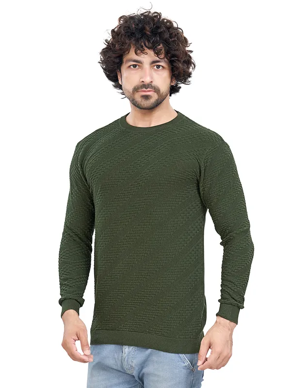 Olive_Cotton_Solid_Premium_Flat_Knit_Round_Neck_T-Shirt_Full_Sleeves_For_Men