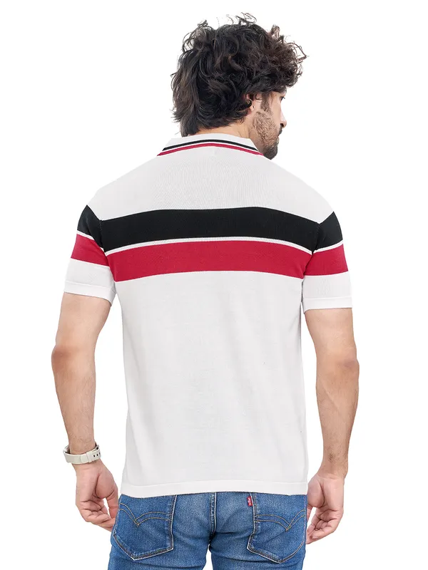 Multicolor_Cotton_Premium_Flat_Knit_Mid_Stripe_Polo_T-Shirt_For_Men