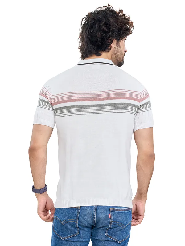 Multicolor_Cotton_Premium_Flat_Knit_Mid_Stripe_Polo_T-Shirt_For_Men