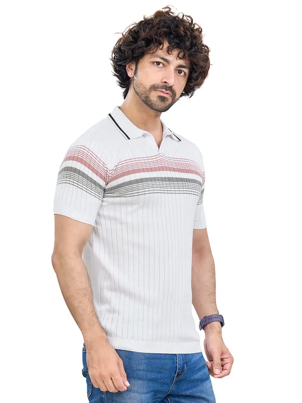 Multicolor_Cotton_Premium_Flat_Knit_Mid_Stripe_Polo_T-Shirt_For_Men