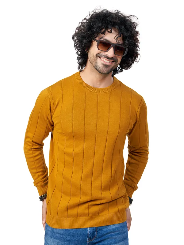 Mustard_Cotton_Striped_Premium_Flat_Knit_Round_Neck_T-Shirt_Full_Sleeves_For_Men