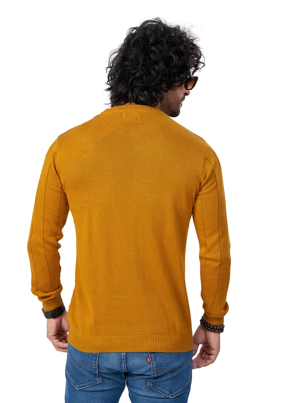 Mustard_Cotton_Striped_Premium_Flat_Knit_Round_Neck_T-Shirt_Full_Sleeves_For_Men