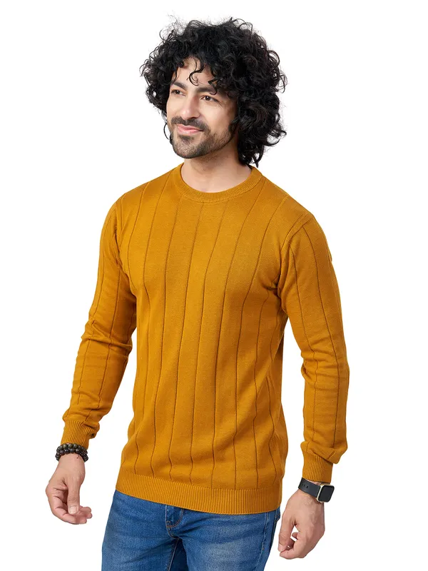 Mustard_Cotton_Striped_Premium_Flat_Knit_Round_Neck_T-Shirt_Full_Sleeves_For_Men