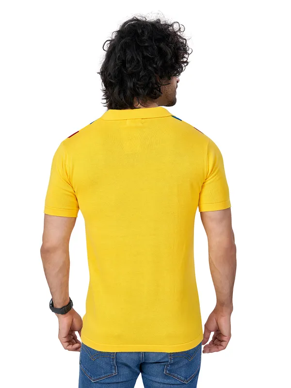Multicolor_Cotton_Multicolor_Premium_Flat_Knit_Stripe_Polo_T-Shirt_For_Men
