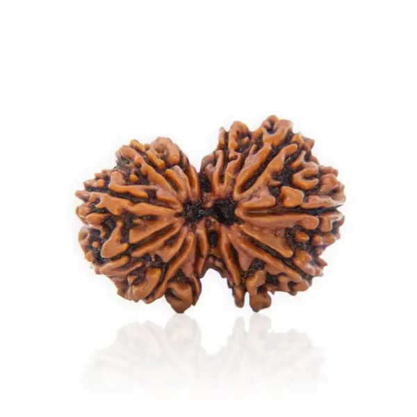 Gauri_Shankar_Rudraksha_Nepal
