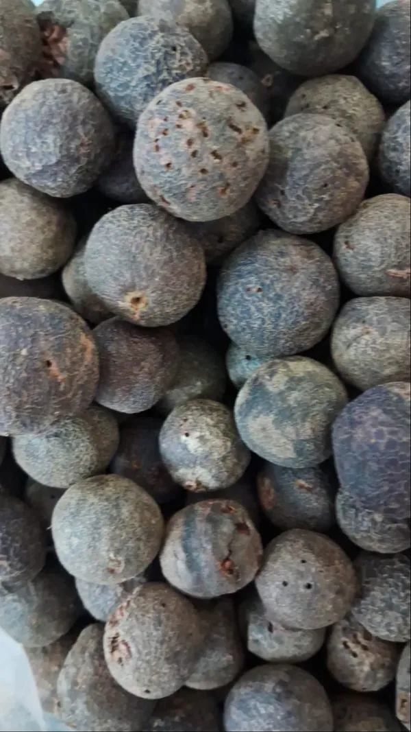 Rudraksha_Fruit_Packet