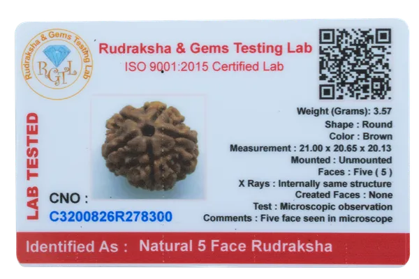 5_Mukhi_Nepal_Rudraksha