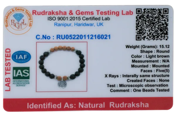 Rudraksha_Energy_Bracelet_With_Lava_Stone