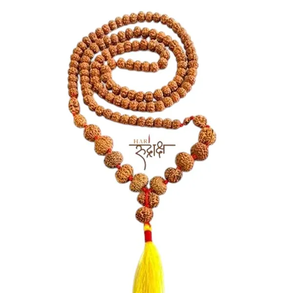 1_To14_Mukhi_Indonesia_Siddha_Mala_With_Gauri_Shankar_Rudraksha