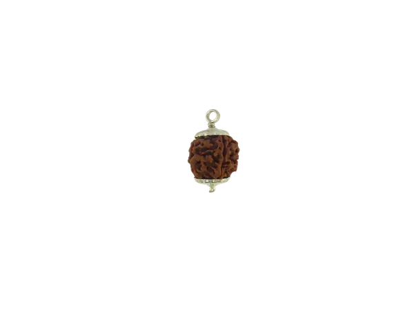 4_Mukhi_Nepal_Rudraksha