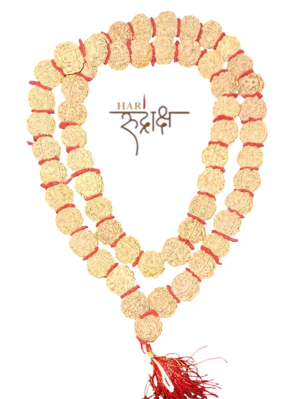 5_Mukhi_Kantha_Mala_32+1_Big_Beads