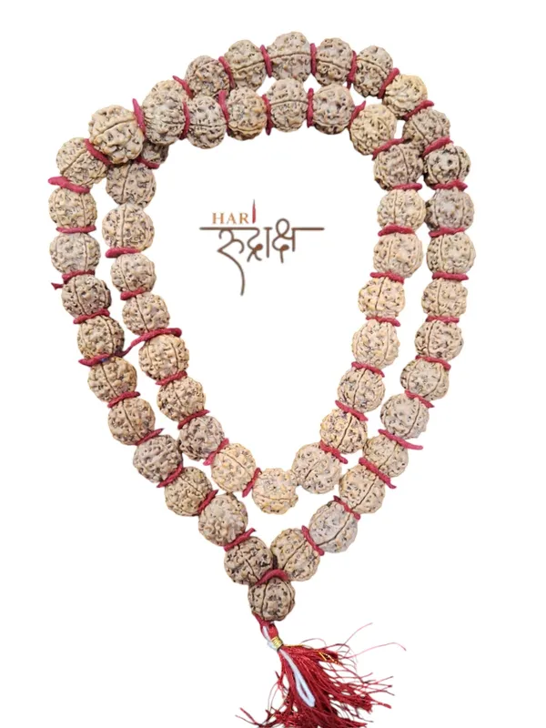 5_Mukhi_Kantha_Mala_32+1_Big_Beads