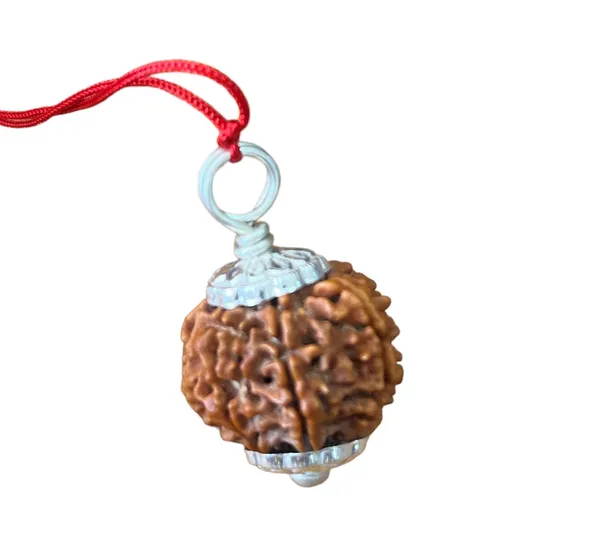 7_Mukhi_Nepal_Rudraksha_Premium_Beads