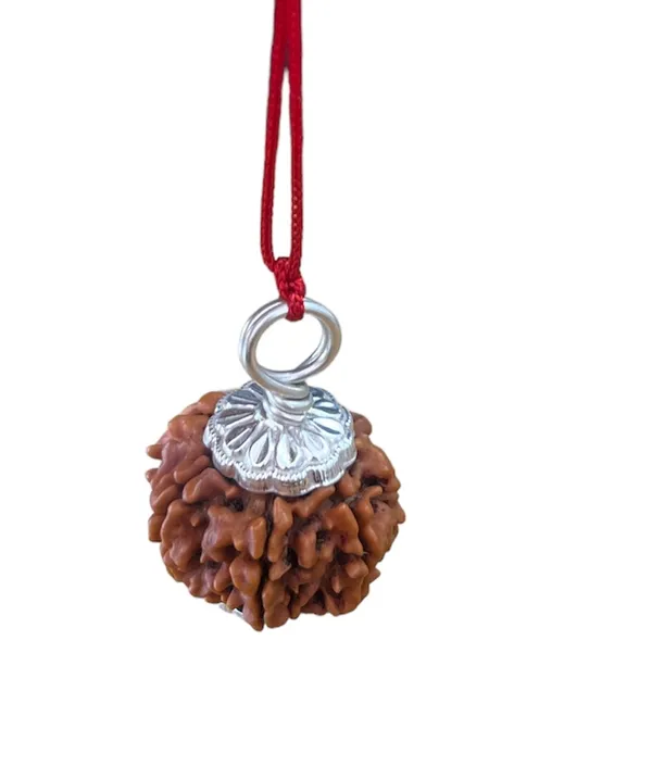 7_Mukhi_Nepal_Rudraksha_Premium_Beads