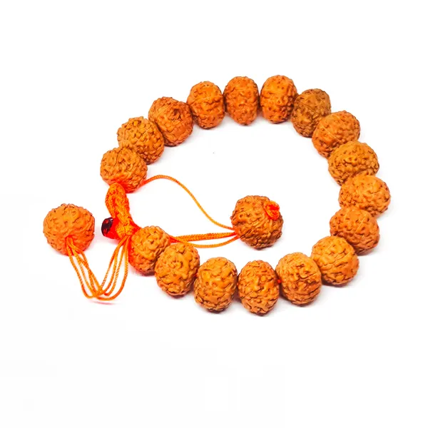 8_Mukhi_Bracelet_Java