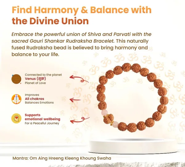 Gauri_Shankar_Rudraksha_Bracelet