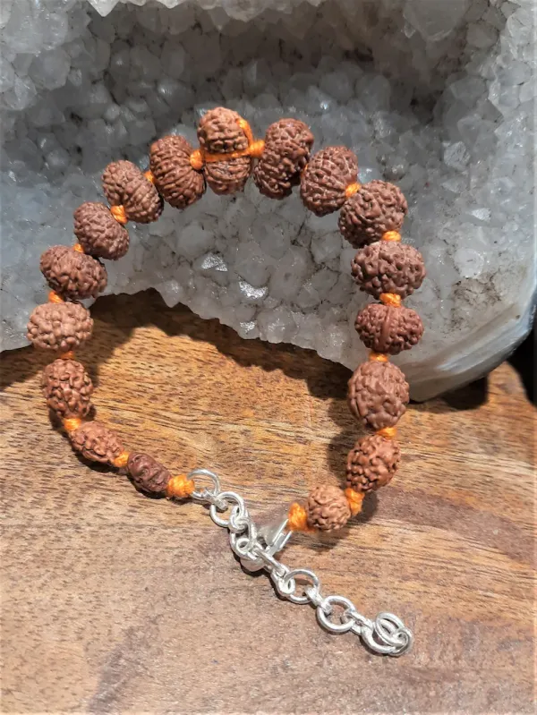 1_To_14_Mukhi_Rudraksha_Bracelet